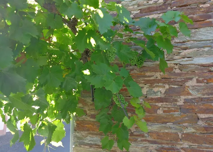 Leo Werland-ehses דירה זלטינגן-רכטינג