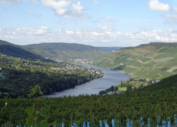 Leo Werland-ehses דירה זלטינגן-רכטינג